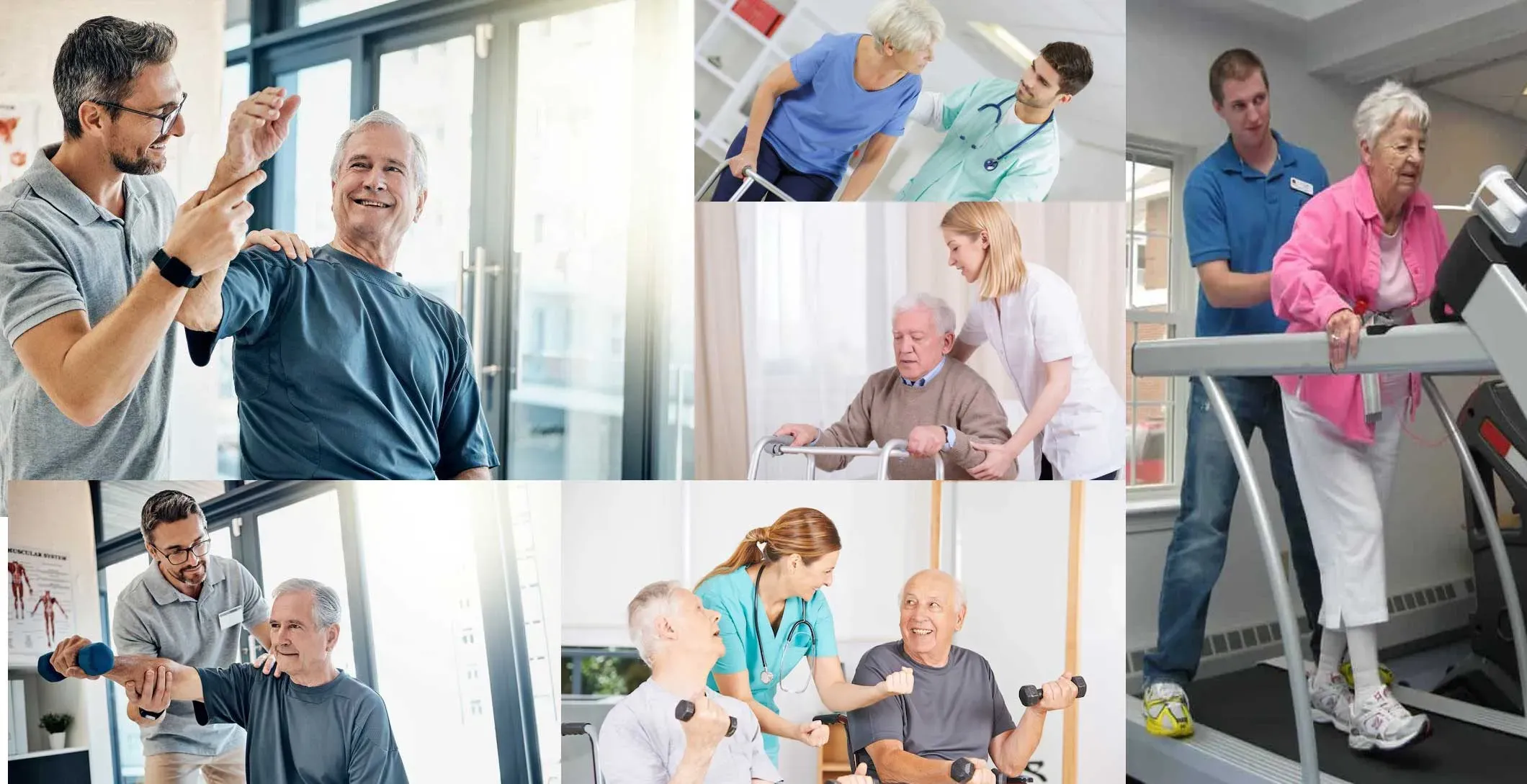 Paralysis Treatment Centre in Kanker