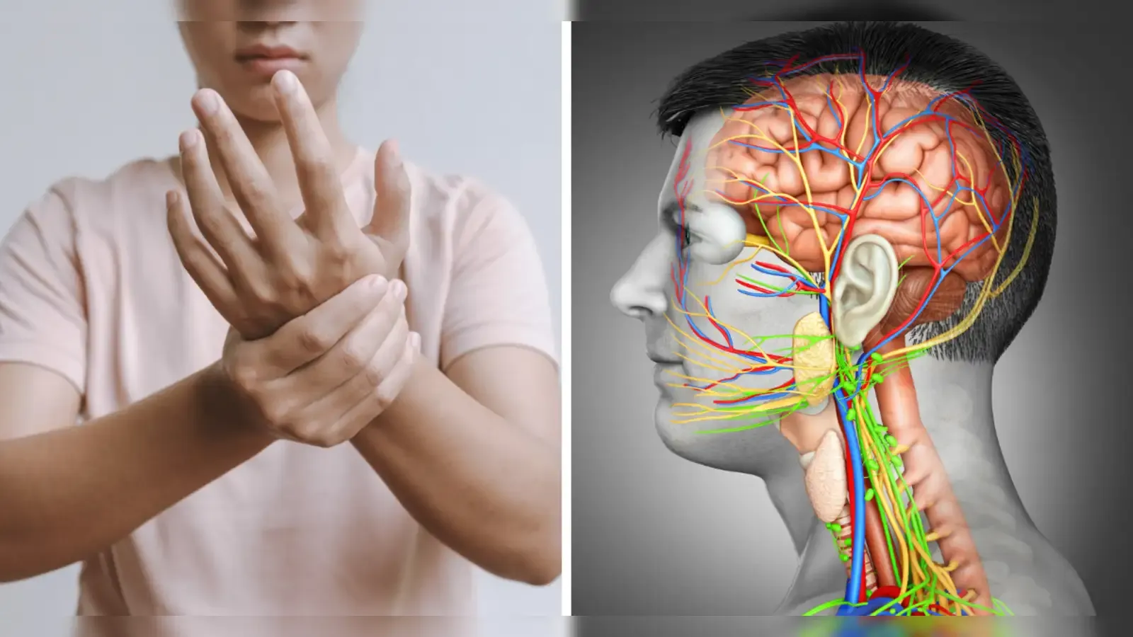 Nerve Related Doctor in Kanker